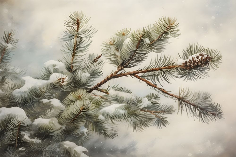 Picture of SNOWY BRANCH