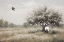Picture of HIDING GHOST