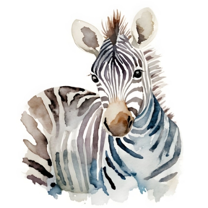 Picture of BABY ZEBRA