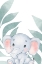 Picture of SAFARI BABY ELEPHANT