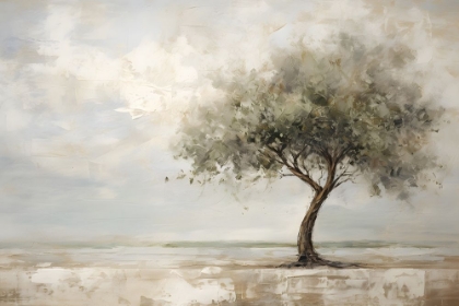 Picture of WHITE WASH 1