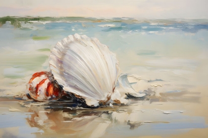 Picture of SHORE SHELL 1