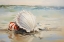 Picture of SHORE SHELL 1