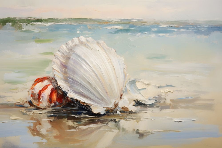 Picture of SHORE SHELL 1
