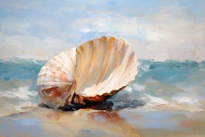 Picture of SHORE SHELL 2